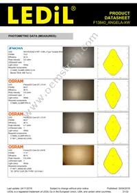 F13840_ANGELA-XW Datasheet Page 21