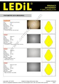 F13840_ANGELA-XW Datasheet Page 22