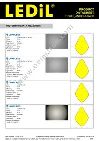 F13841_ANGELA-XW-B Datasheet Page 9