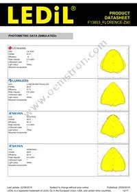 F13853_FLORENCE-Z90 Datasheet Page 12