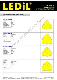 F13853_FLORENCE-Z90 Datasheet Page 15