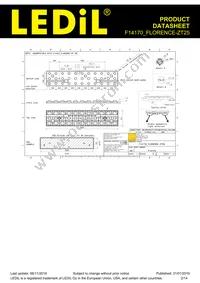 F14170_FLORENCE-ZT25 Datasheet Page 2