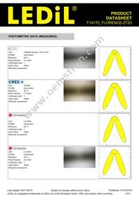 F14170_FLORENCE-ZT25 Datasheet Page 3