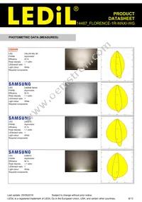 F14487_FLORENCE-1R-MAXI-WG Datasheet Page 8