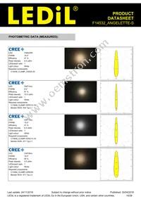 F14532_ANGELETTE-S Datasheet Page 10