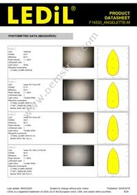 F14533_ANGELETTE-M Datasheet Page 6