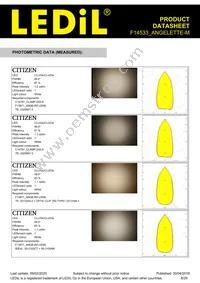 F14533_ANGELETTE-M Datasheet Page 8