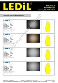 F14533_ANGELETTE-M Datasheet Page 11