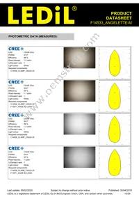 F14533_ANGELETTE-M Datasheet Page 13