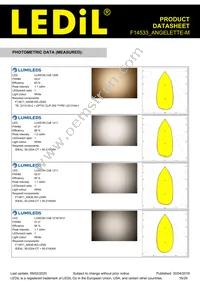 F14533_ANGELETTE-M Datasheet Page 16