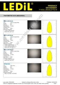 F14533_ANGELETTE-M Datasheet Page 19