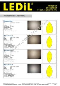 F14534_ANGELETTE-WW Datasheet Page 17