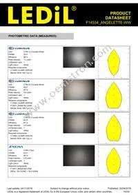 F14534_ANGELETTE-WW Datasheet Page 19