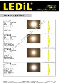 F14616_ANGELETTE-S-B Datasheet Page 4