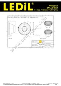 F14620_ANGELETTE-M-PLAIN Datasheet Page 2