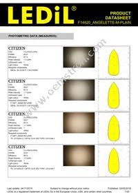 F14620_ANGELETTE-M-PLAIN Datasheet Page 7