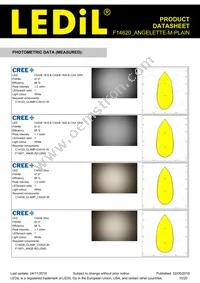 F14620_ANGELETTE-M-PLAIN Datasheet Page 10