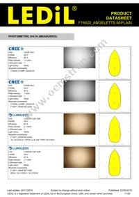 F14620_ANGELETTE-M-PLAIN Datasheet Page 11