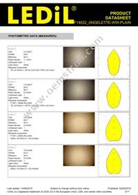 F14622_ANGELETTE-WW-PLAIN Datasheet Page 3