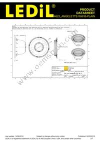 F14623_ANGELETTE-WW-B-PLAIN Datasheet Page 2