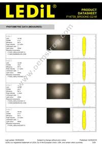 F14739_BROOKE-G2-M Datasheet Page 3