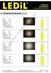 F14739_BROOKE-G2-M Datasheet Page 4