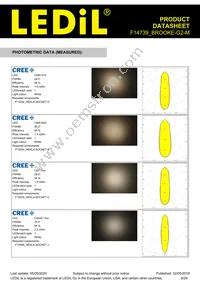 F14739_BROOKE-G2-M Datasheet Page 9