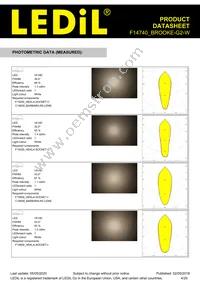 F14740_BROOKE-G2-W Datasheet Page 4