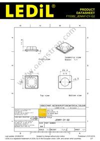 F15382_JENNY-CY-G2 Datasheet Page 2