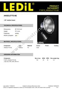 F16010_ANGELETTE-M2 Datasheet Cover