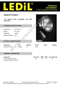 F16012_ANGELETTE-M2-B Datasheet Cover