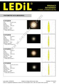 F16083_CARMEN-90-RS Datasheet Page 4