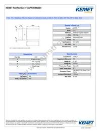 F161PP393M100V Datasheet Cover