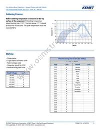 F161ZS475K100V Datasheet Page 9