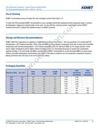 F161ZS475K100V Datasheet Page 10