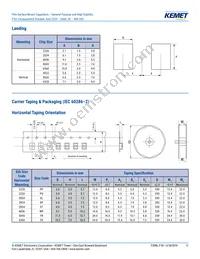 F161ZS475K100V Datasheet Page 11