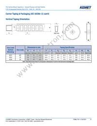 F161ZS475K100V Datasheet Page 12