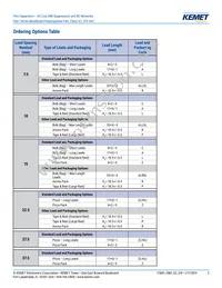 F861DU225K310ZLH0J Datasheet Page 2