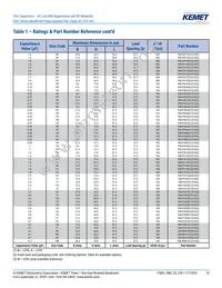 F861DU225K310ZLH0J Datasheet Page 10