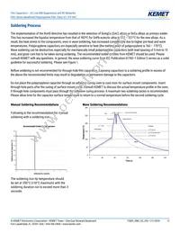 F861DU225K310ZLH0J Datasheet Page 11