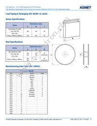 F862BK124K310ALR0L Datasheet Page 13