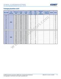 F871DO474M330Z Datasheet Page 17