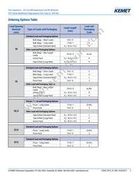 F872BE333M480C Datasheet Page 2