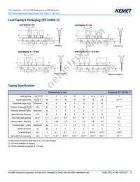 F872BE333M480C Datasheet Page 17