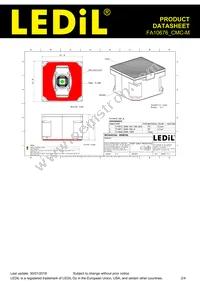 FA10676_CMC-M Datasheet Page 2