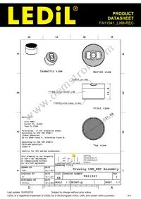 FA11941_LXM-REC Datasheet Page 2