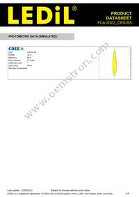 FCA10303_CRS-RS Datasheet Page 4