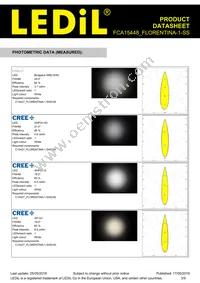 FCA15448_FLORENTINA-1-SS Datasheet Page 3