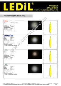 FCA15448_FLORENTINA-1-SS Datasheet Page 7