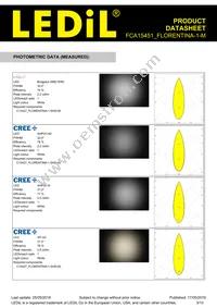 FCA15451_FLORENTINA-1-M Datasheet Page 3